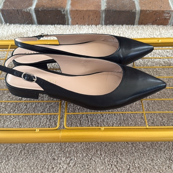 Classic Slingback Pointed Toe Flats! - Picture 2 of 3